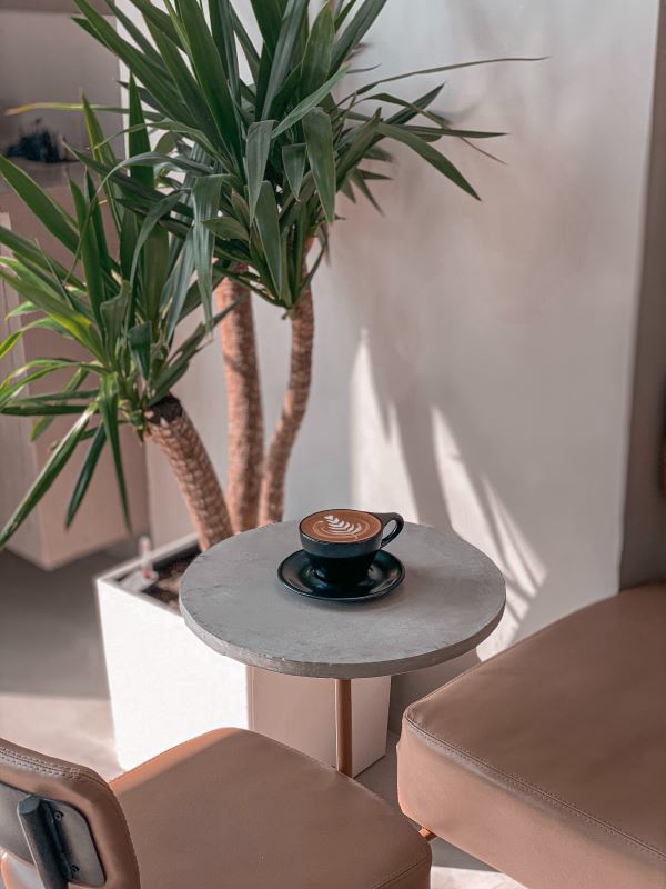 coffee on a table with a large plant in the back