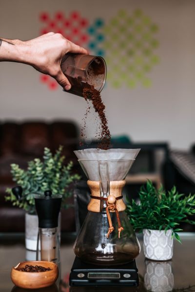 coffee maker with plants